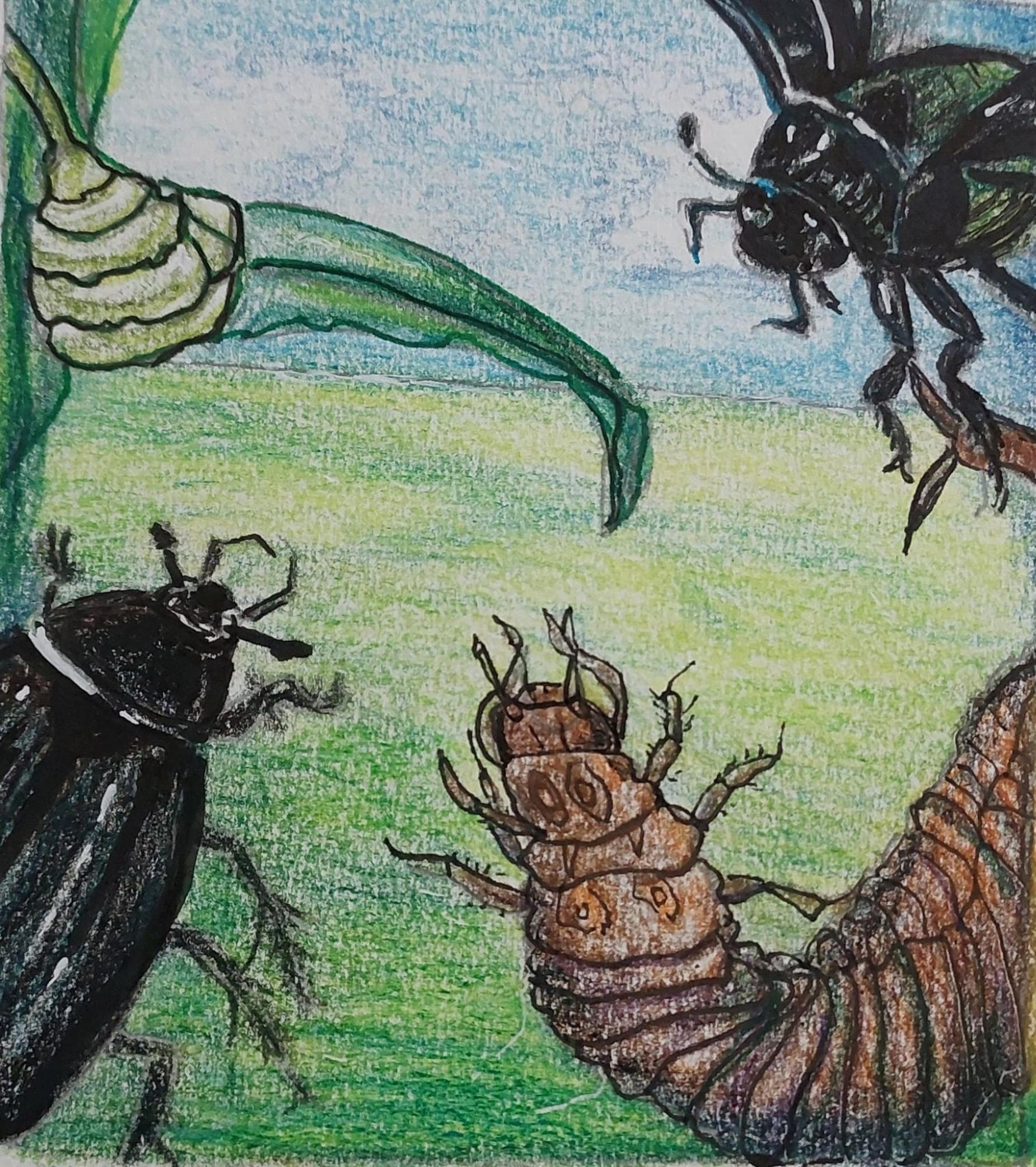 Kleurrijke illustratie van bodemdieren